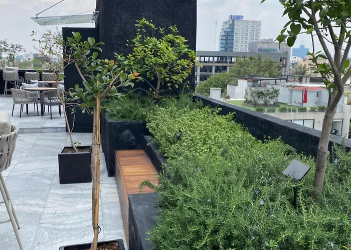 Loft In The Heart Of Roma Norte Steps Away From Cibeles México DF