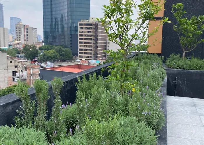 Apartamento Loft In The Heart Of Roma Norte Steps Away From Cibeles México DF